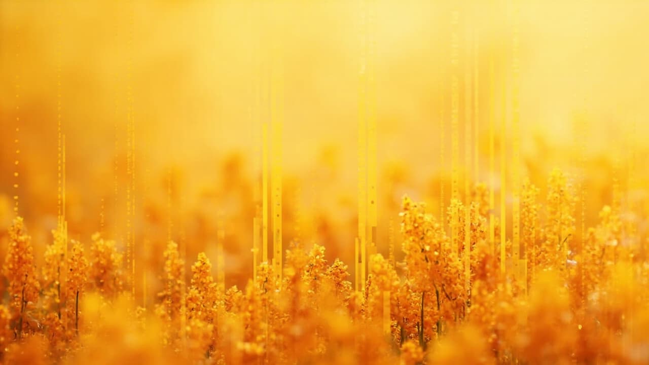Emergence Rate: The Metric Most Companies Don't Know They're Missing